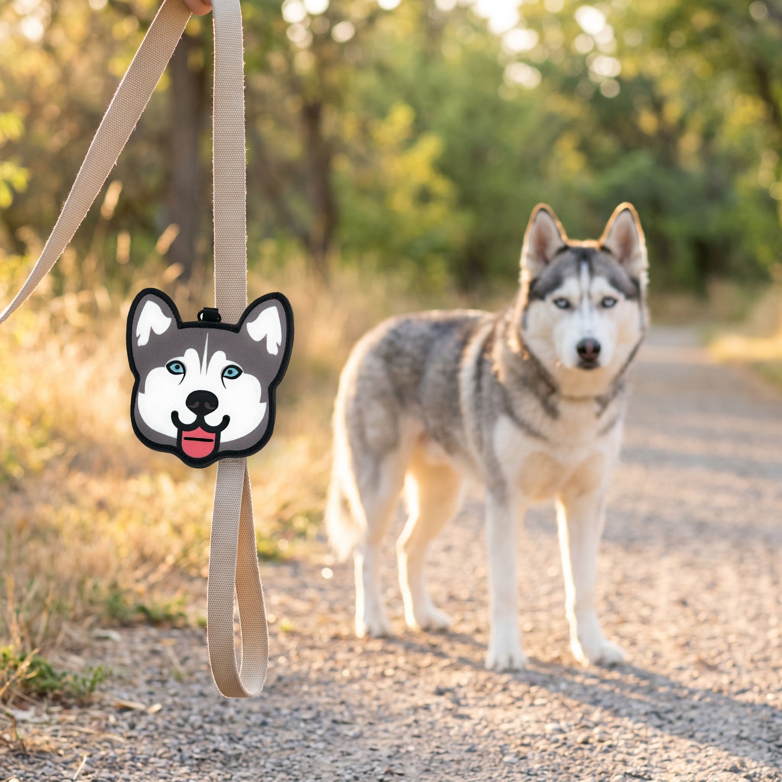 Husky poop bag holder clipped to a leash on a walk